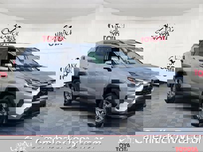 New 2025 Toyota RAV4 XLE