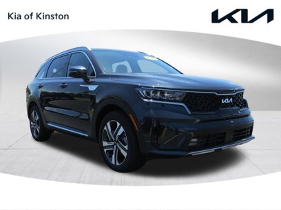 New 2024 Kia Sorento EX