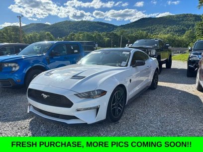 Used 2022 Ford Mustang Coupe w/ Equipment Group 101A