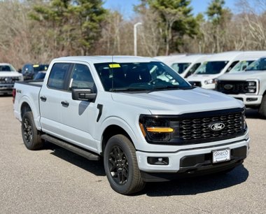 New 2025 Ford F150 STX w/ STX Black Appearance Package