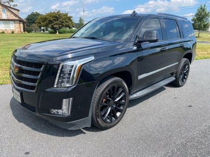 Used 2019 Cadillac Escalade Luxury