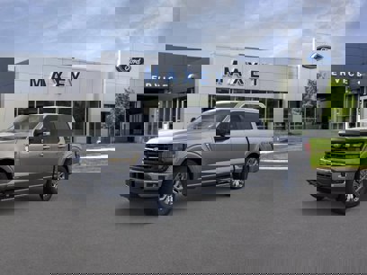 New 2025 Ford F150 XLT w/ Equipment Group 303A High