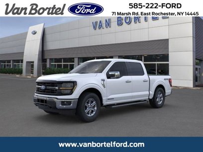 Used 2025 Ford F150 XLT w/ Equipment Group 302A MID