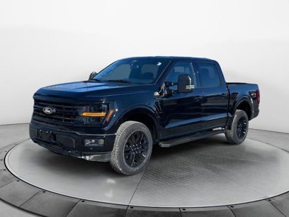 New 2025 Ford F150 XLT w/ Equipment Group 303A High