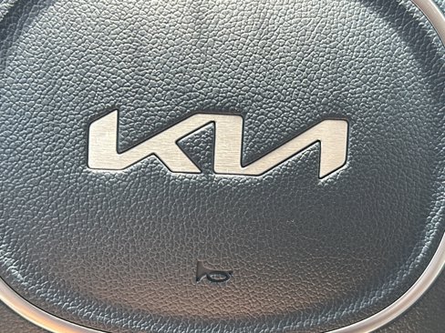 New 2026 Kia Carnival SX Prestige image 22
