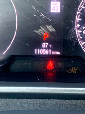 Used 2019 Honda Accord LX image 12