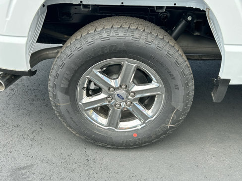 New 2025 Ford F150 XLT w/ Equipment Group 301A Standard image 10