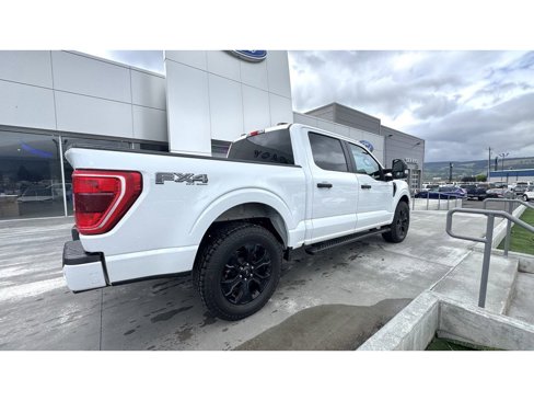 Used 2023 Ford F150 XL w/ STX Black Appearance Package image 7