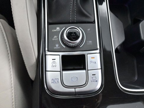 Used 2021 Kia Telluride SX w/ SX Prestige Package image 31