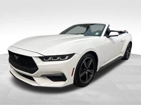 Used 2024 Ford Mustang Premium image 1
