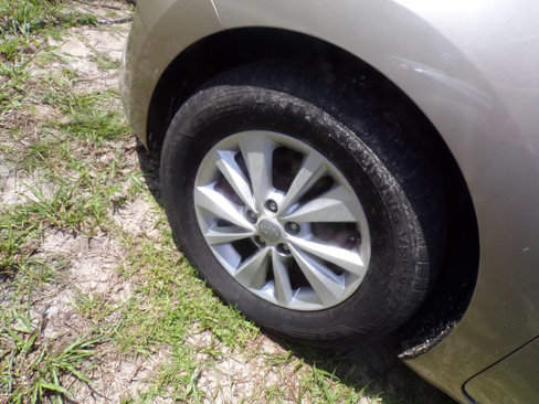 Used 2015 Kia Sedona LX image 18