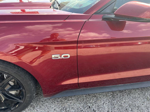 Used 2015 Ford Mustang GT Premium w/ Equipment Group 401A image 6