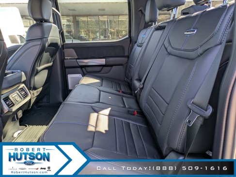 New 2025 Ford F250 Platinum image 11