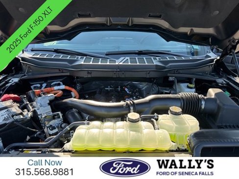 New 2025 Ford F150 XLT image 17