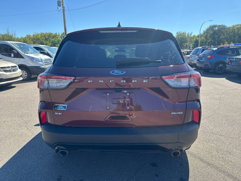 Used 2021 Ford Escape SE w/ SE Sport Appearance Package image 6