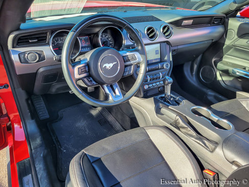 Used 2023 Ford Mustang Premium image 11