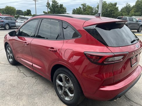 Used 2024 Ford Escape ST-Line w/ Tech Pack #1 image 5
