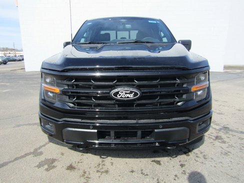 New 2025 Ford F150 XLT w/ Equipment Group 302A MID image 3