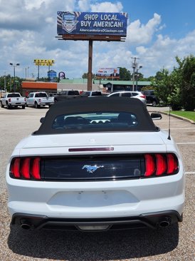 Used 2022 Ford Mustang Premium image 19