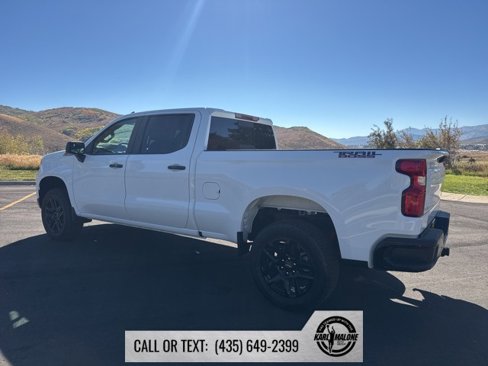New 2026 Chevrolet Silverado 1500 LT Trail Boss w/ Convenience Package II image 4