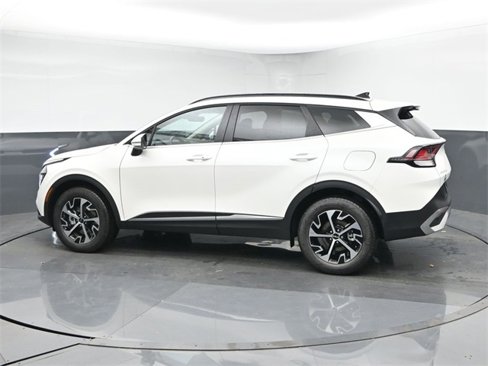 Used 2025 Kia Sportage EX w/ EX Premium Package image 5