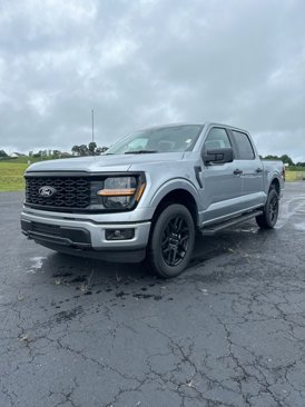 New 2025 Ford F150 STX w/ STX Black Appearance Package image 1