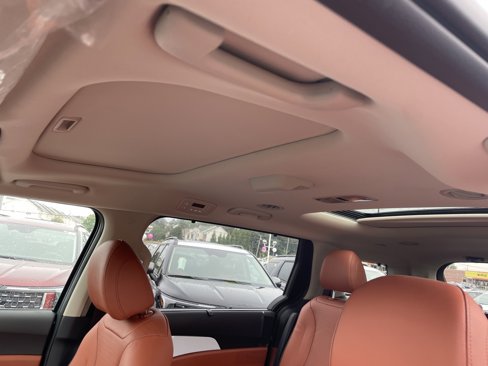 New 2026 Kia Carnival SX Prestige image 13