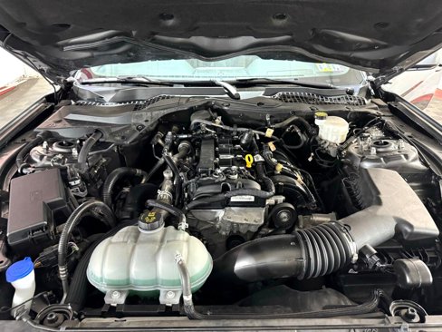 Used 2023 Ford Mustang Premium image 24