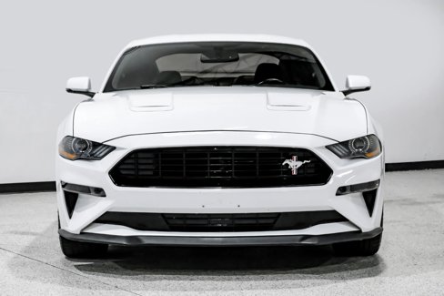 Used 2019 Ford Mustang GT Premium w/ Equipment Group 401A image 3