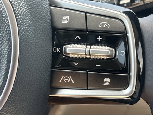 New 2026 Kia Carnival SX Prestige image 20