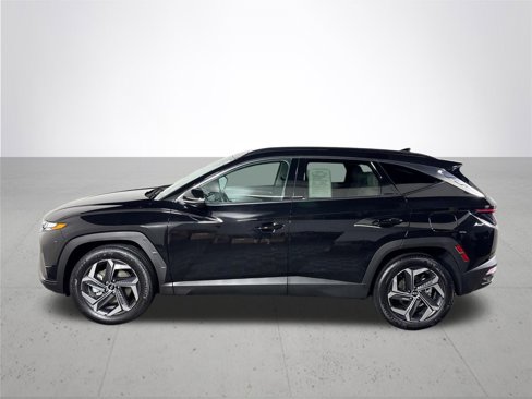 Used 2023 Hyundai Tucson Limited image 9