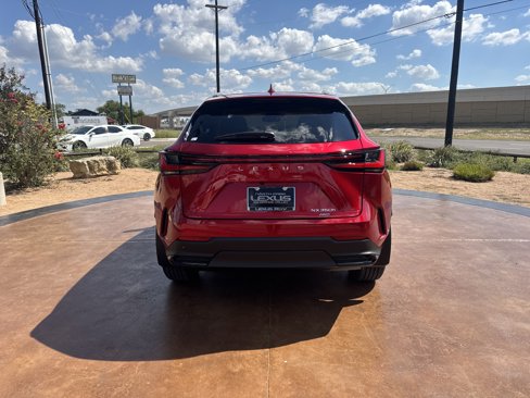New 2026 Lexus NX 350h AWD w/ Premium Package image 3