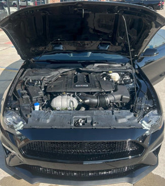Used 2022 Ford Mustang GT Premium w/ Equipment Group 401A image 28