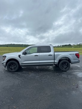 New 2025 Ford F150 STX w/ STX Black Appearance Package image 2