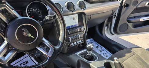 Used 2021 Ford Mustang GT w/ Equipment Group 301A image 20