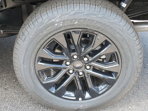 New 2025 Ford F150 XLT w/ Equipment Group 303A High image 33