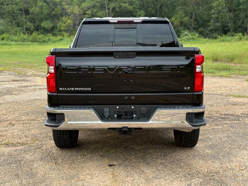 Used 2019 Chevrolet Silverado 1500 LT w/ Texas Edition image 4