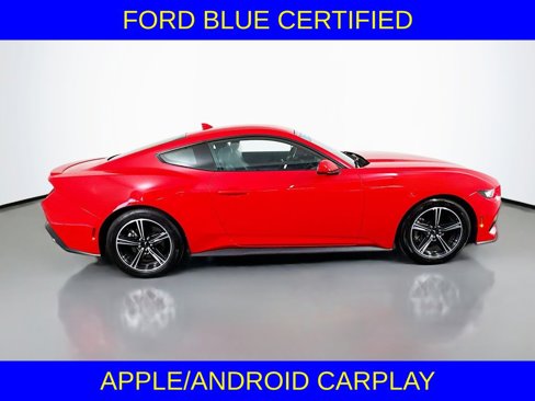 Certified 2024 Ford Mustang Premium image 4