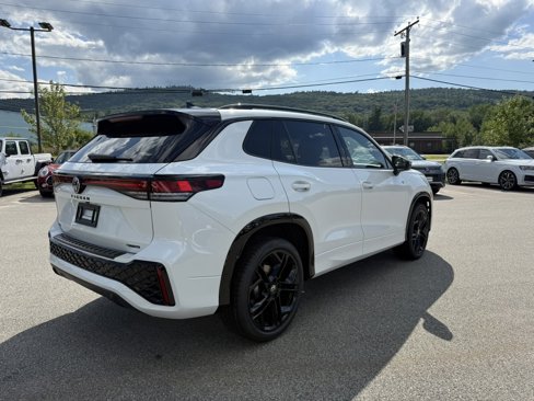 New 2025 Volkswagen Tiguan SE R-Line image 5