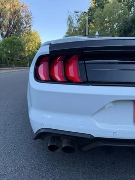 Used 2021 Ford Mustang GT w/ Equipment Group 301A image 9