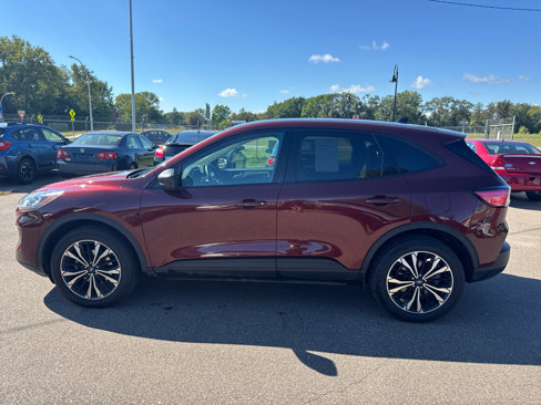 Used 2021 Ford Escape SE w/ SE Sport Appearance Package image 8