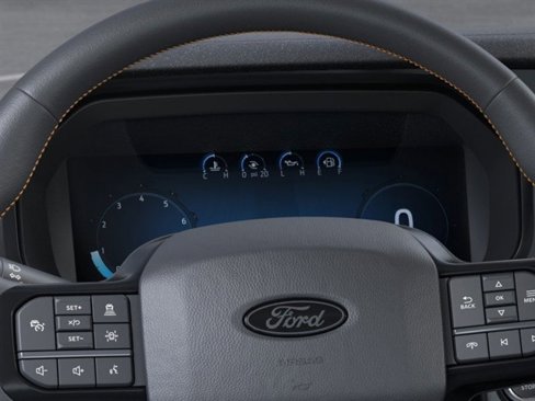 New 2025 Ford F150 Tremor image 13