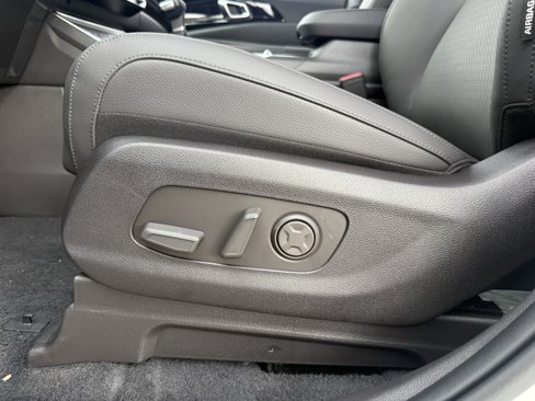 New 2026 Kia Carnival SX Prestige image 29