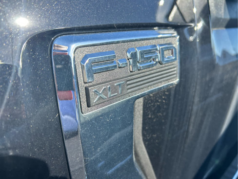 New 2025 Ford F150 XLT w/ Equipment Group 302A MID image 11