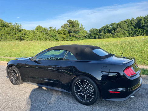 Used 2020 Ford Mustang Premium image 4