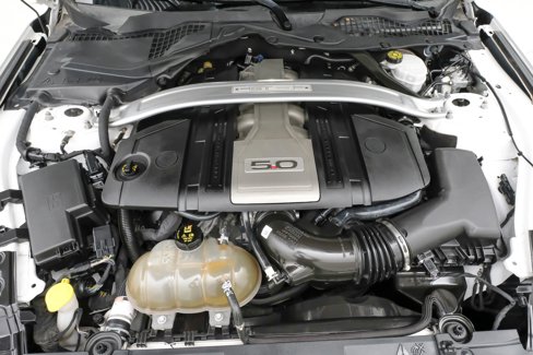 Used 2019 Ford Mustang GT Premium w/ Equipment Group 401A image 51
