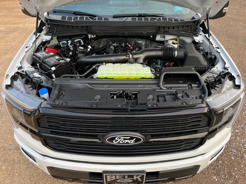 New 2025 Ford F150 Platinum image 18