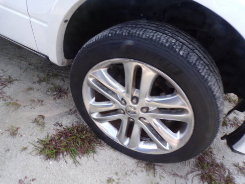 Used 2013 Ford F150 Limited image 15