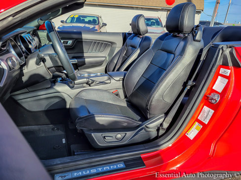 Used 2023 Ford Mustang Premium image 9