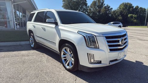 Used 2015 Cadillac Escalade Premium image 1